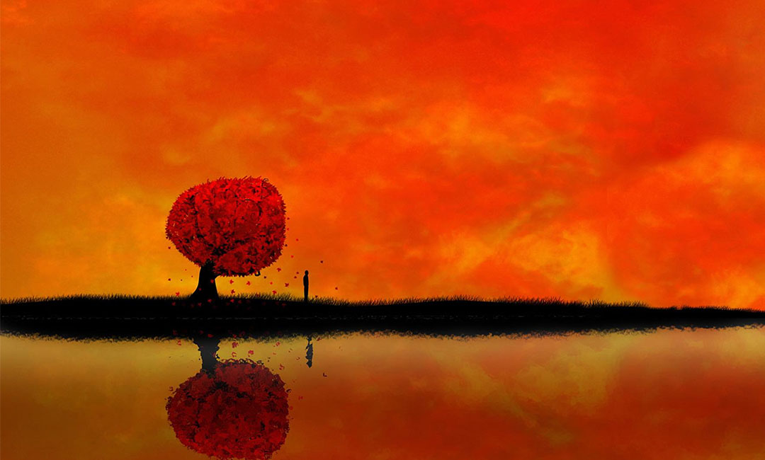 咸阳笙影微信朋友圈转发案例